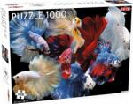 TACTIC Puzzle tactic 1000 de animale: pești de luptă (427340) Puzzle