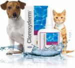  Clorexyderm Spot Gel - Antiszeptikus bőrvédő gél kutyáknak és macskáknak 100 ml