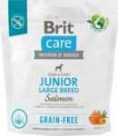 Brit BRIT CARE Somon junior de rasă mare fără cereale 1kg