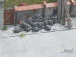 Juweela Juweela: saci de gunoi plini de culoare neagră (20 buc) (2012360)