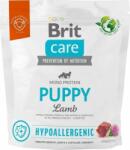 Brit Brit Care Dog Hipoalergenic Catel Miel 1kg