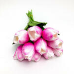  Magenta-rózsaszín tulipán 1 db