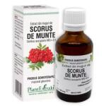 PlantExtrakt Extract din muguri de SCORUS DE MUNTE - Sorbus aucuparia MGD1 50ml