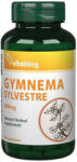 Vitaking Gymnema Sylvestre 400 mg - Gymnema Sylvestre 400 mg (90 Capsule)