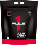 Rule 1 R1 Clean Gainer (4470 g, Fudge cu Ciocolată)