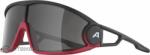Alpina LEGEND szemüveg, fekete/piros