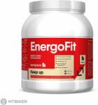 Kompava EnergoFit energiaital, 500 g (fekete ribizli)