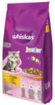 Whiskas Cat - Junior - 14KG