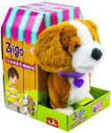 Noriel Catelusul Beagle - Zigo (23724)