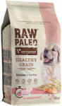  Raw Paleo Healthy Grain Puppy Salmon (2 x 10 kg) 20 kg (247611)