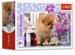 Trefl Kutyás 54 darabos mini puzzle (JS-54195KUTYA)