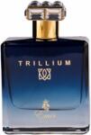 Emir Trillium EDP 100 ml Parfum