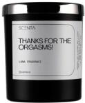 Scenta Home&Lifestyle Thanks For The Orgasms! Lumanari 160 ml