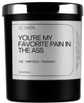 Scenta Home&Lifestyle You’re My Favorite Pain In The Ass Lumanari 220 ml