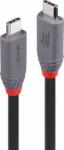 Lindy Anthra Line USB-C apa - USB-C apa 4.0 Gen 3x2 Adat és töltőkábel - Fekete (0.8m) (36956)