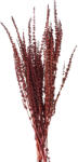 Clayre & Eef Buchet flori rosii uscate 85 cm (5DF0025)