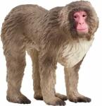 Schleich Wild Life Macaque japonez figura Schleich Wild Life (SLH14871) Figurina