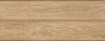 ARTE Samaria Wood STR 74, 8x29, 8 csempe