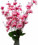  Rózsaszín tavaszi ág (Rozsaszin-tavaszi-ag)