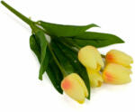Homyl 5-agu-citromsarga-tulipan (5-agu-citromsarga-tulipan)