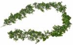 Ghirlanda eukalipt artficial pentru aranjamente florale (8235)
