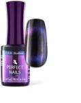 Perfect Nails LacGel Cat Eye C018 8ml Gél Lakk - Blueberry - 9D