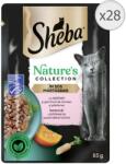 Sheba Nature's Collection tasakos eledel, lazaccal mártásban, felnőtt macskák számára, 28 x 85 g