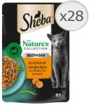 Sheba Nature's Collection tasakos eledel, pulykával aszpikban, felnőtt macskák számára, 28 x 85 g