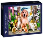 Bluebird Puzzle 500 db-os puzzle - Good Companions (90127)