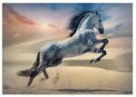 Trefl 10790 - Fenséges ló - 1000 db-os puzzle (10790)