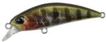DUO SPEARHEAD RYUKI 45S 4.5cm 4gr ADA3058 Prism Gill