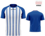Givova SHIRT TRATTO dressz azúrkék-fehér M