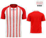 Givova SHIRT TRATTO dressz piros-fehér L