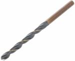 ALPEN-MAYKESTAG Burghiu pentru metal, 7.7mm, HSS, lungime 117mm, ALPEN-MAYKESTAG - 0062600770100 Burghiu