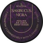 Scandia Cosmetics Peeling pe bază de zahăr și sare, cu floare de soc și extract de fructe - Scandia Sunbucus Nigra Body Scrub 200 ml