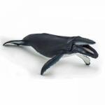 Papo Figurina Balena Cu Cocoasa (Papo56001) - ookee Figurina