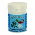 Bionit Fokhagyma-Fagyöngy-Galagonya tabletta - 90db Bionit