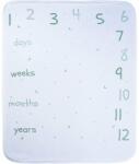 Bubaba Paturica moale, Bubaba, My first year, Din bumbac, 70x90 cm, Pentru momente memorabile, Imprimeu cu luni, saptamani si zile, 0 luni+, Mint/White (40956) Lenjerii de pat bebelusi‎, patura bebelusi
