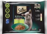 Sheba Kitten alutasakos nedves macskaeledel Lazaccal 4x85g