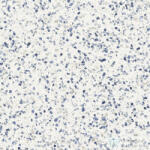 Marazzi Frammento Macro Azzuro R10 Rett. 60x60 cm-es padlólap, MN1L (MN1L)