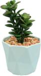 Ella Home Planta Suculenta In Ghiveci, Gri, Plastic, 16Cm ComfortTravel Luggage (2108)