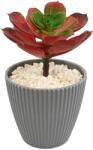 Ella Home Planta Suculenta In Ghiveci, Gri, Plastic, 16Cm ComfortTravel Luggage (2106)