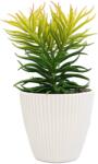 Ella Home Planta Suculenta In Ghiveci, Alb, Plastic, 19Cm ComfortTravel Luggage (2105)