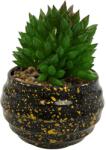 Ella Home Vas Rotund Cu Planta Suculenta, Verde, Plastic, 9Cm ComfortTravel Luggage (2103)