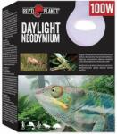 Repti Planet Planet Daylight Neodymium 100W
