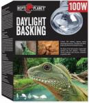 Repti Planet Daylight Basking Spot 100W