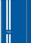 Dayliner Naptár, tervező, A5, heti, DAYLINER, "InSpiral", kék-fehér (NSA5HKF) - jatekotthon