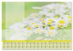 SIGEL Könyökalátét, 595x410 mm, 3 éves tervezővel, SIGEL "Lovely Daisies (SIHO307) - jatekotthon
