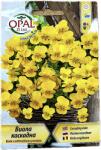 Opal Zi Seminte flori Panselute/Viola Curgatoare 0, 2 gr, OpalZi Bulgaria (2797-3800216420176)