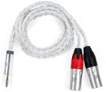 iFi Audio Кабел iFi 4.4 мм M - 2х XLR F (5060738784639) - vsystem